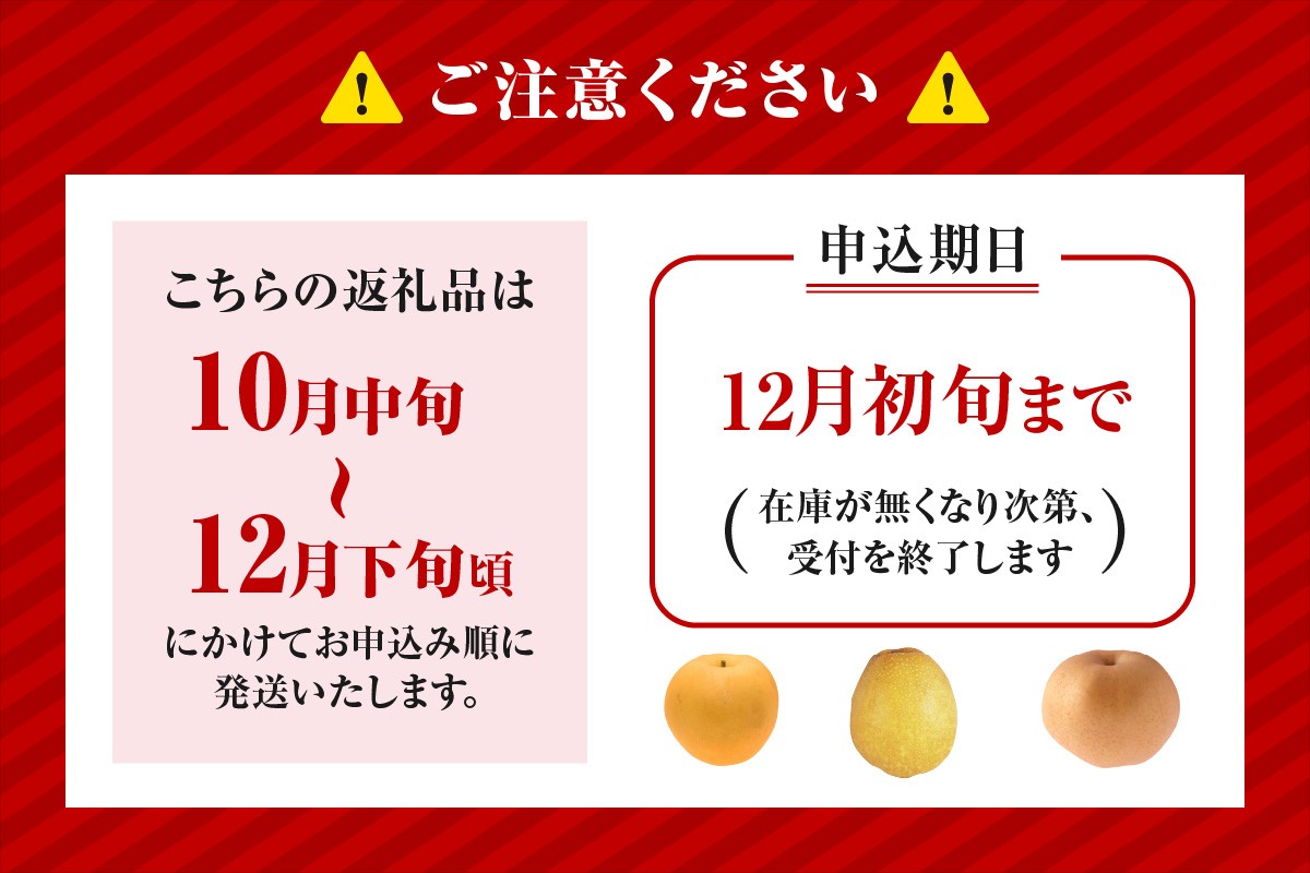 「新興梨」、「王秋梨」、「愛宕梨」のいずれかとなります。
甘味の中に適度に酸味があり、絶妙な美味しさです！