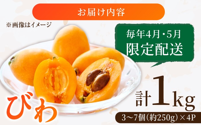 果物 びわ約250g  枇杷 ビワ  フルーツ 旬