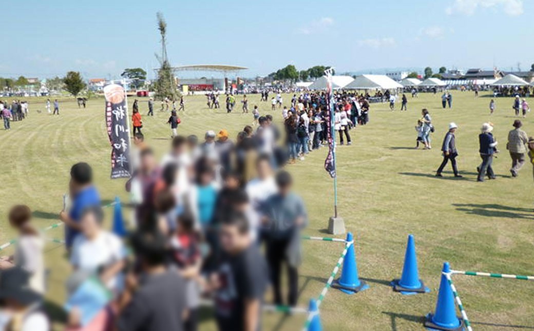 柳川黄金博多和牛カレー 2食分（200g）×2箱【TVで話題!!】