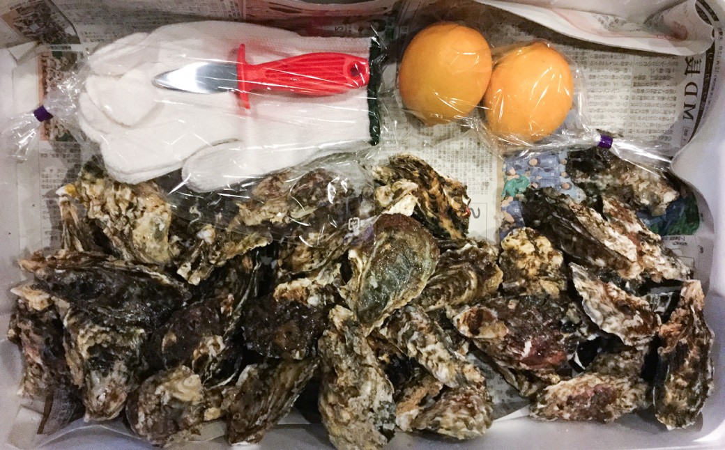 長崎県産 大村湾 殻付き牡蠣セット 2.5kg 浜揚げ直送 ( 軍手 牡蠣ナイフ1本 レモン付 ) 