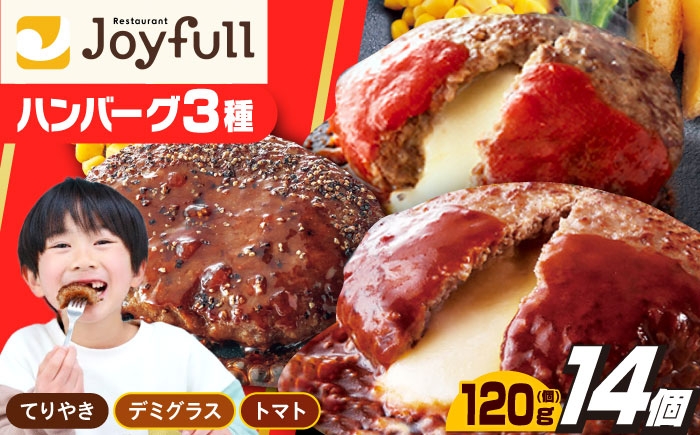 ハンバーグ スペシャル 詰め合わせ ハンバーグ 3種 14個 セット