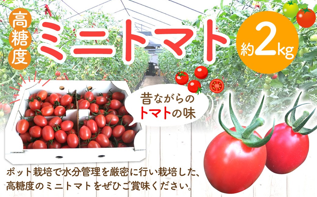 高糖度ミニトマト 約2kg