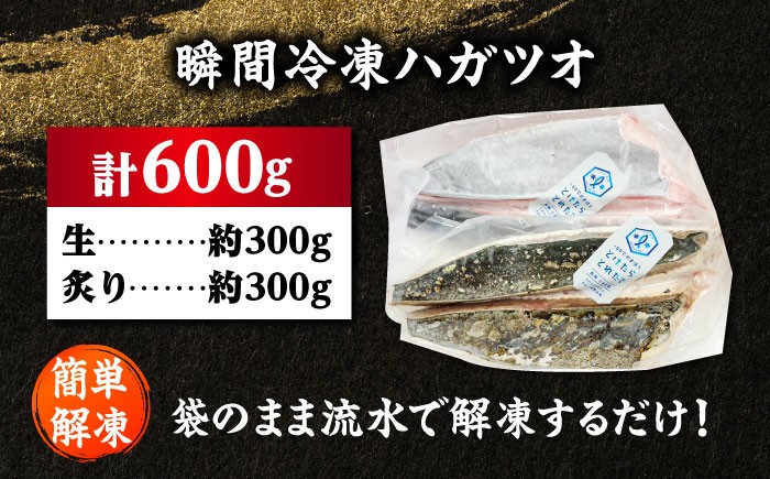 鰹 とけたらとれたて かつお 瞬間冷凍 生・炙り 2種