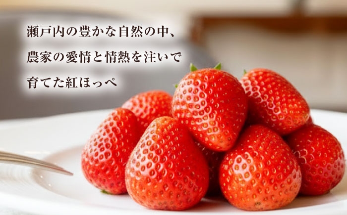 苺 イチゴ いちごパフェ ストロベリー フルーツサンド いちご大福 甘い 果物