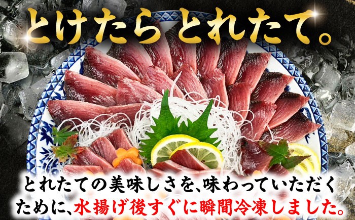 鰹 瞬間冷凍 とけたらとれたて 約400g