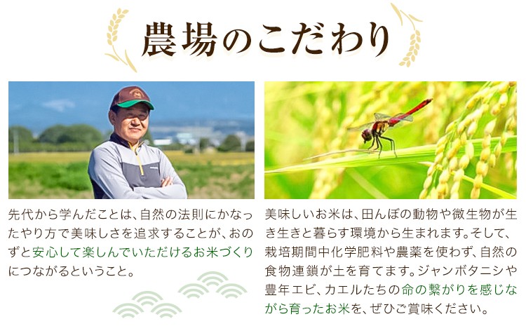 熊本県菊池産 七城物語 有機黒米（玄米）合計900g（180g×5パック）