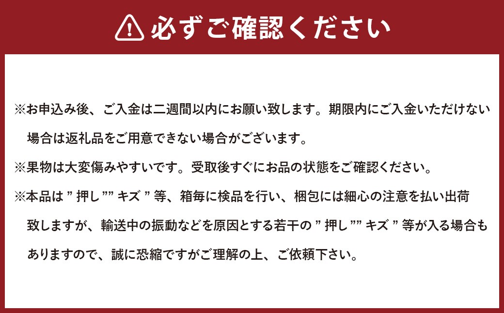 【5回定期便】岡山県産 フルーツ定期便コース