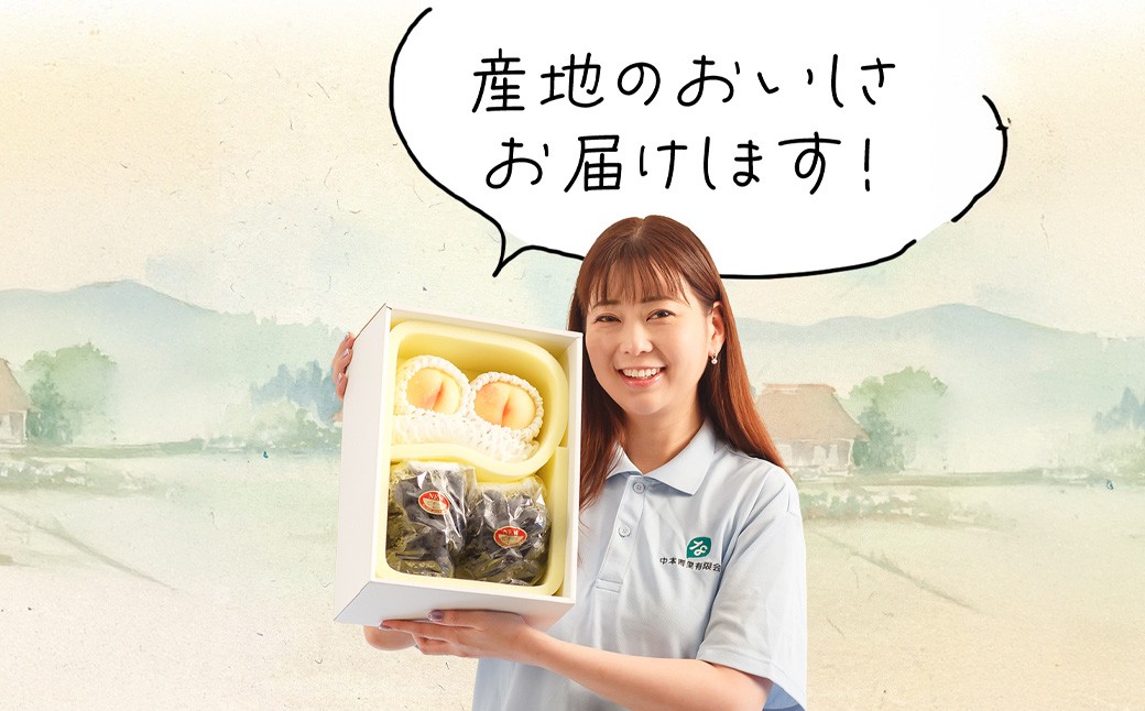 詰合 ／ 白桃（1玉220g以上）2玉・ニューピオーネ（1房480g以上）2房 化粧箱入り