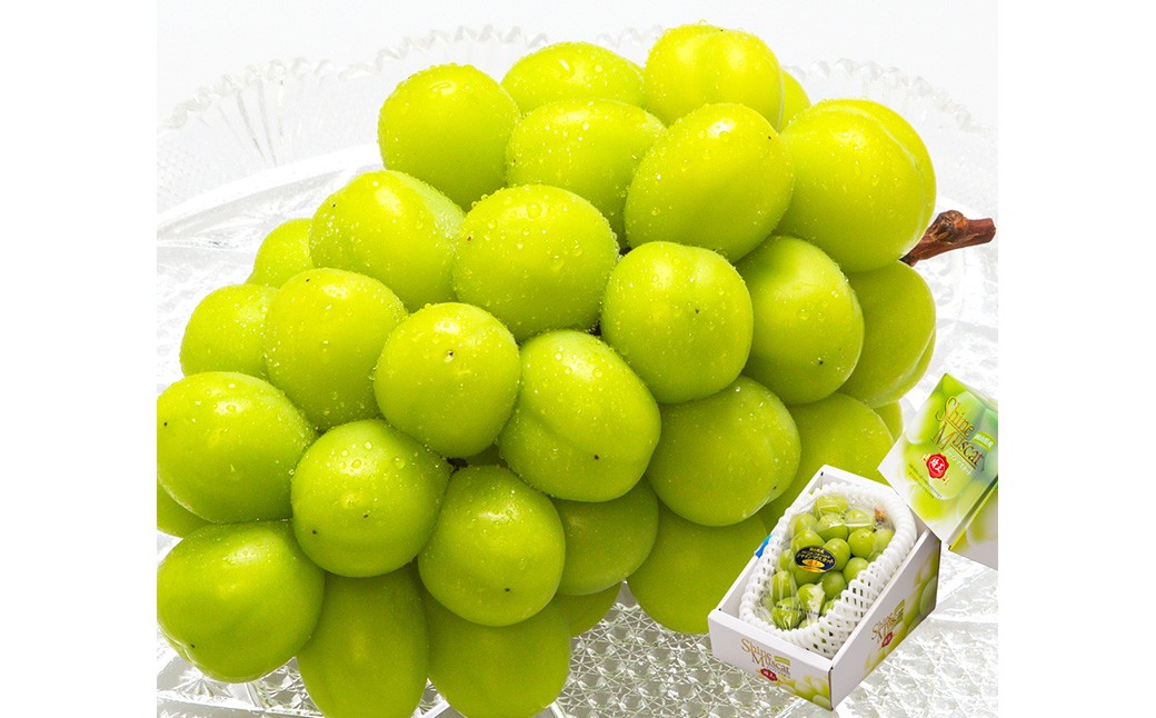 岡山県産 シャインマスカット『晴王』1房（700g以上） 化粧箱入り