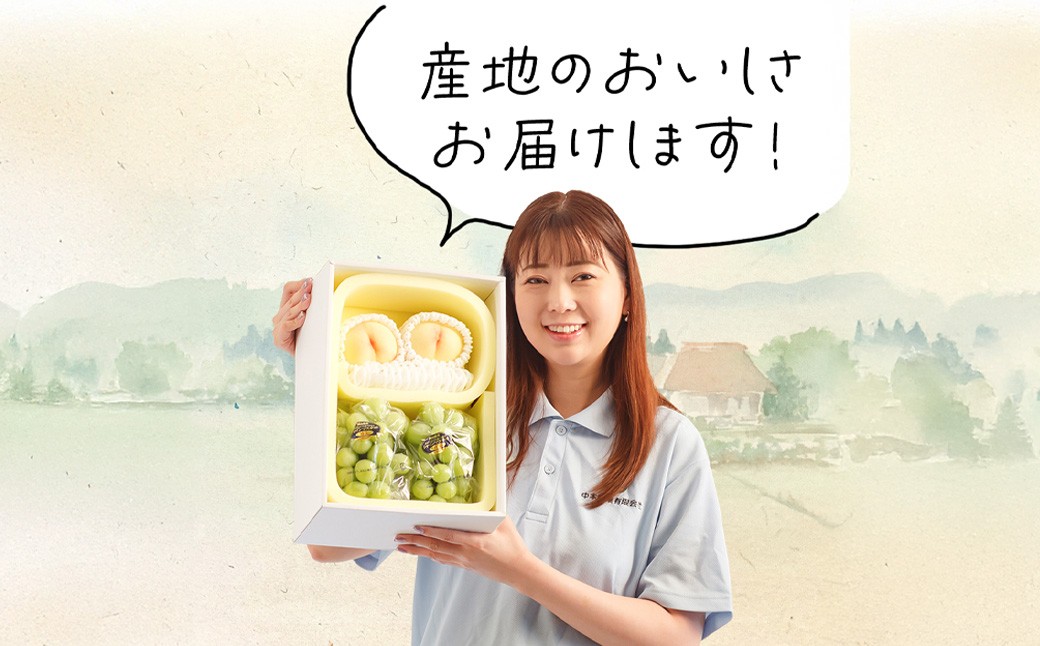 詰合 ／ 白桃 （1玉220g以上）2玉 ・ シャインマスカット 晴王（1房480g以上）2房 化粧箱入り
