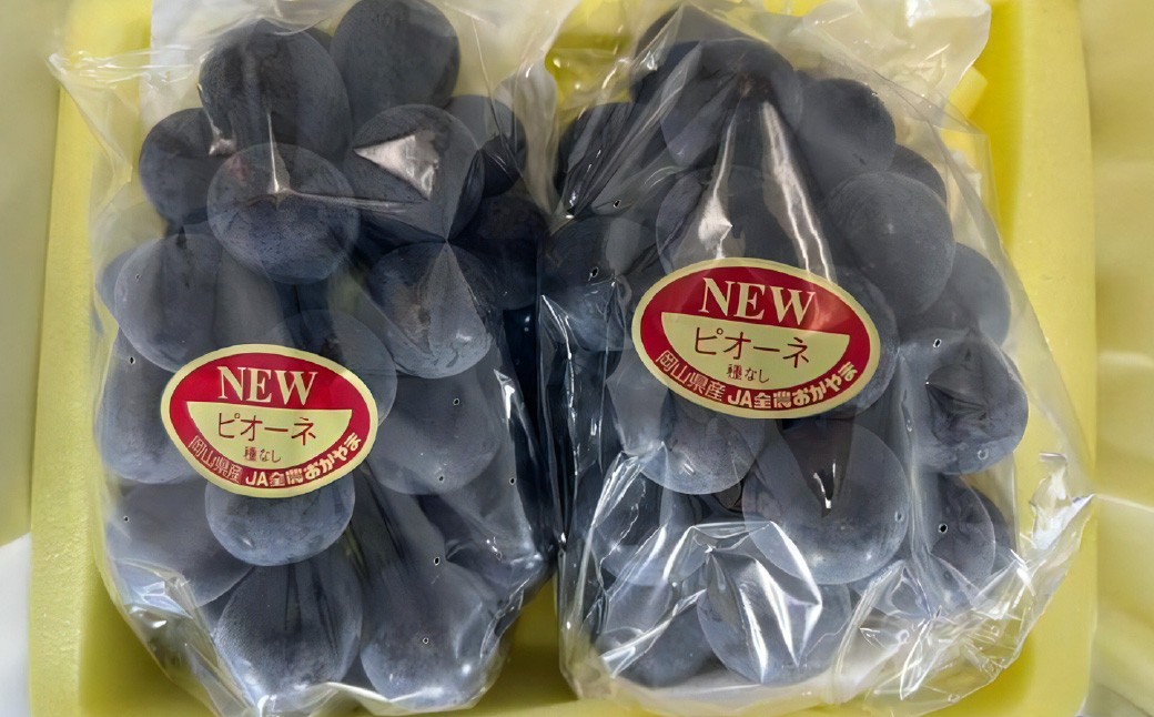 岡山県産 ニューピオーネ4房（1房480g以上） 約2kg