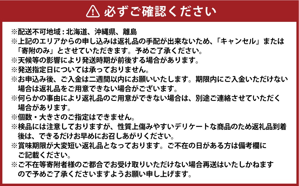 岡山県産 白桃  約1.5kg箱 5～6玉