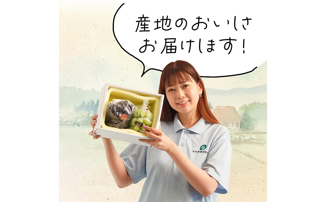 岡山県産 ぶどう詰合／ニューピオーネ1房・シャインマスカット晴王1房（各480ｇ以上）化粧箱入り