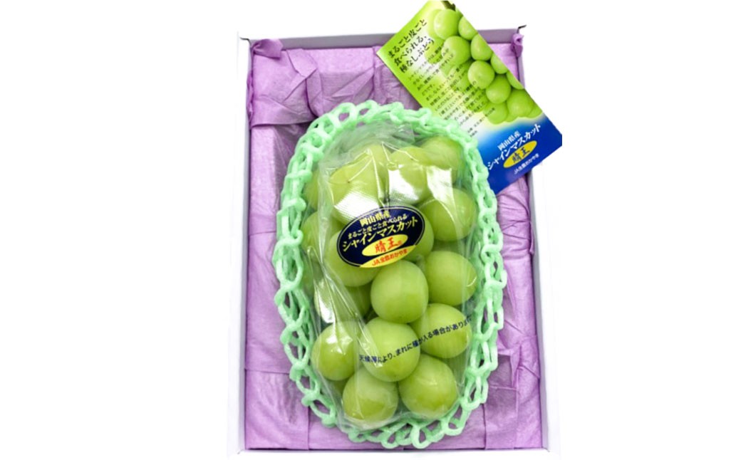 シャインマスカット晴王1房（800g以上）化粧箱入り
