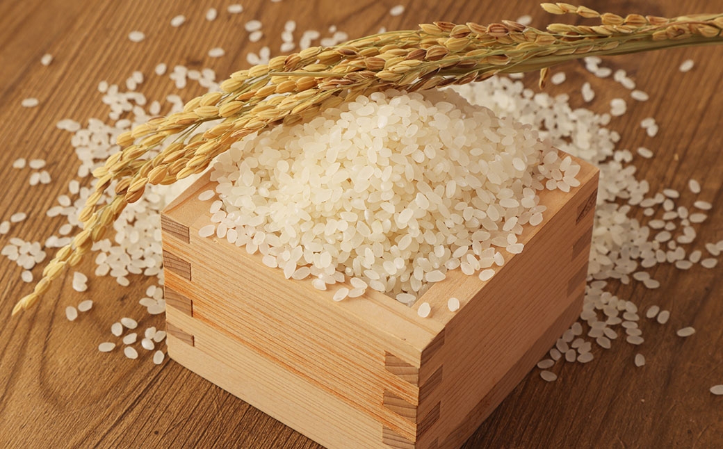 【3ヶ月定期便】無洗米 食味鑑定士厳選 夢つくし 15kg（5kg×3袋）