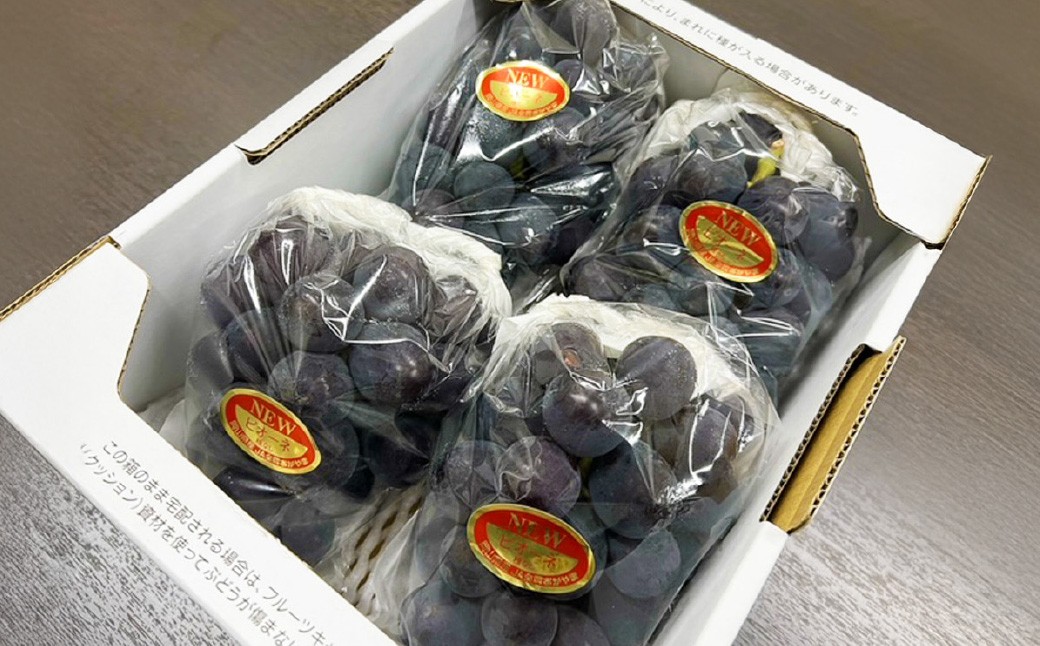 岡山県産 ニューピオーネ4房（1房480g以上） 約2kg
