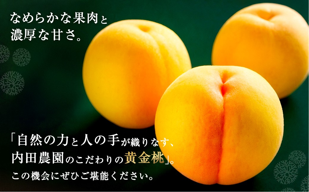 岡山県産 黄色い桃 匠の黄金桃 約4kg箱 10～15玉