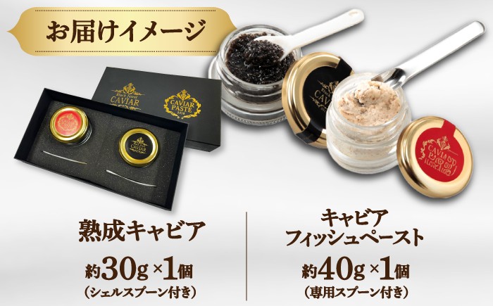 高知産熟成「キャビア キャビアフィッシュペースト」贈答セット 【興洋フリーズ株式会社】 [ATBX011]