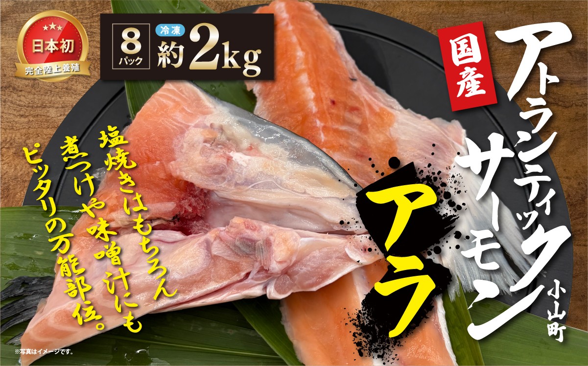 国産 アトランティックサーモンのアラ