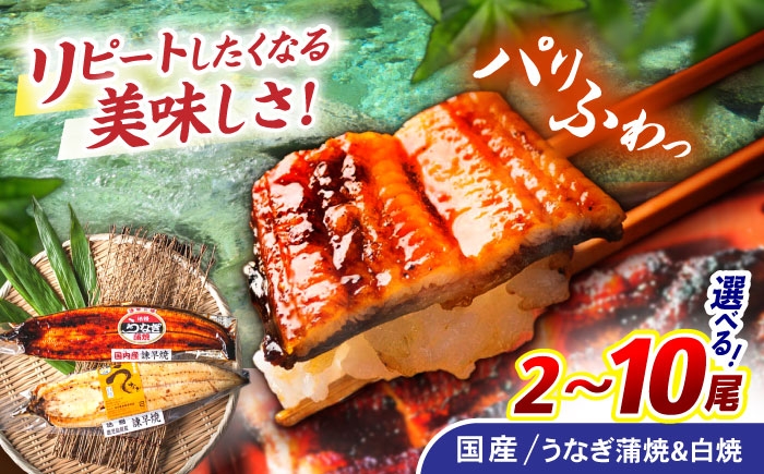 うなぎ ウナギ 鰻 蒲焼き 蒲焼 かばやき 白焼き 白焼 国産 冷凍 小分け うな重 うな丼 ひつまぶし