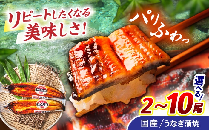 うなぎ ウナギ 鰻 蒲焼き 蒲焼 かばやき 白焼き 白焼 国産 冷凍 小分け うな重 うな丼 ひつまぶし