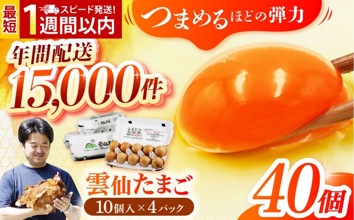 卵 玉子 タマゴ 鶏卵 長崎 島原 九州 小分け たまご