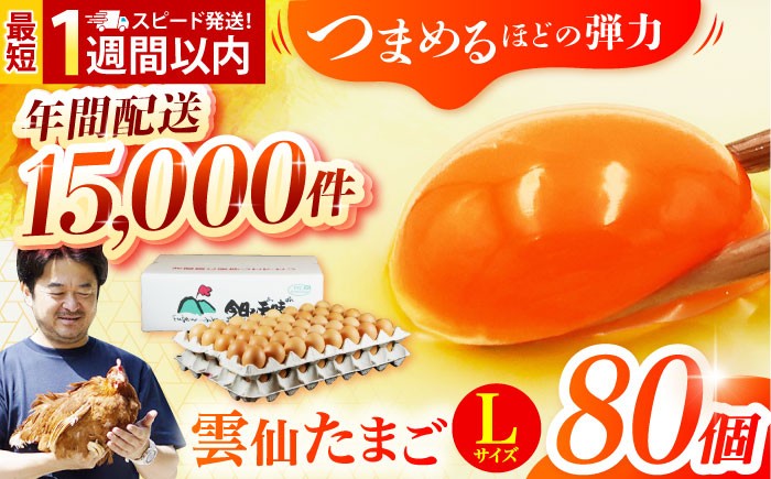 長崎県産 島原市 たまご 卵 玉子 タマゴ 鶏卵 朝食 料理 人気 卵焼き 熨斗 のし 小分け ゴトウもみじ 大容量 たっぷり