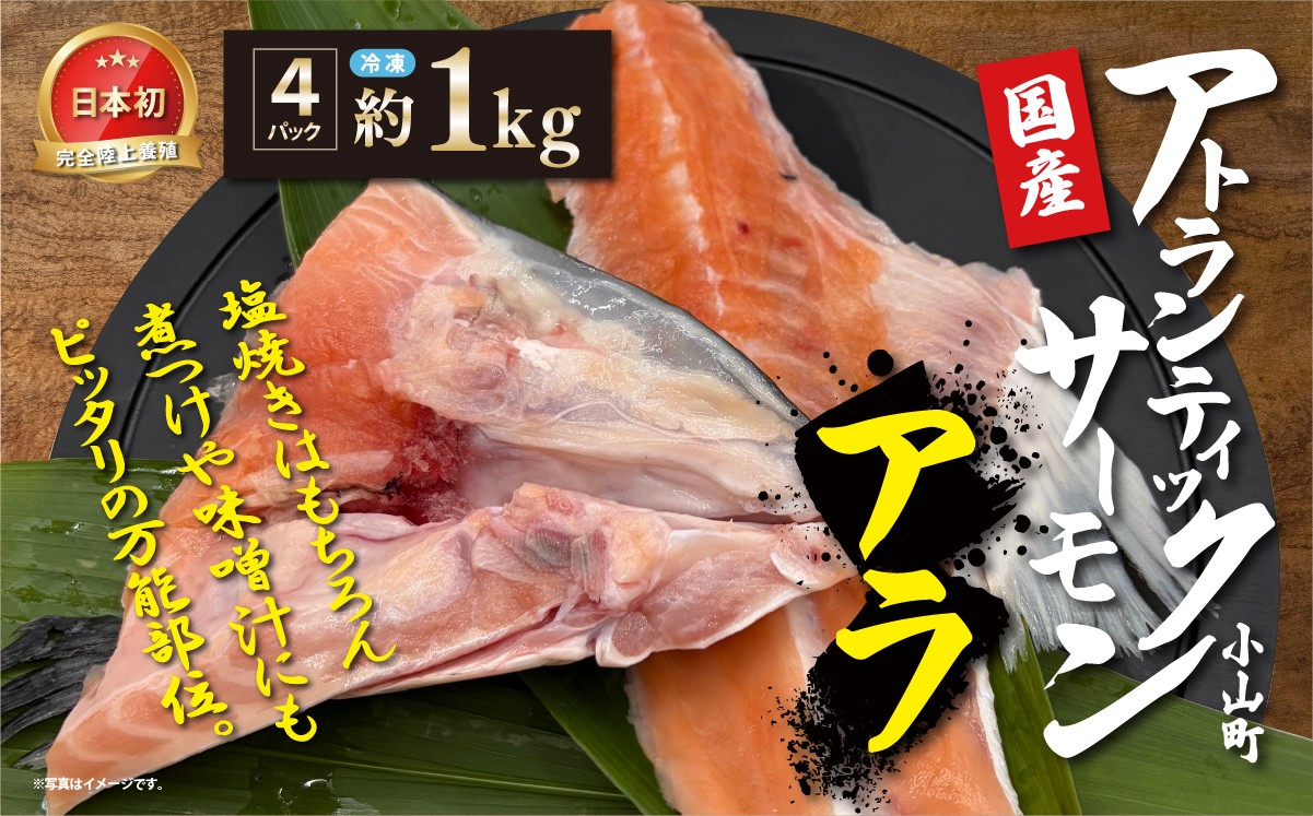 国産 アトランティックサーモンのアラ