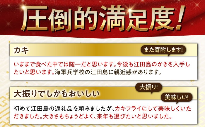 広島牡蠣 冷凍 カキフライ（瞬間冷凍）