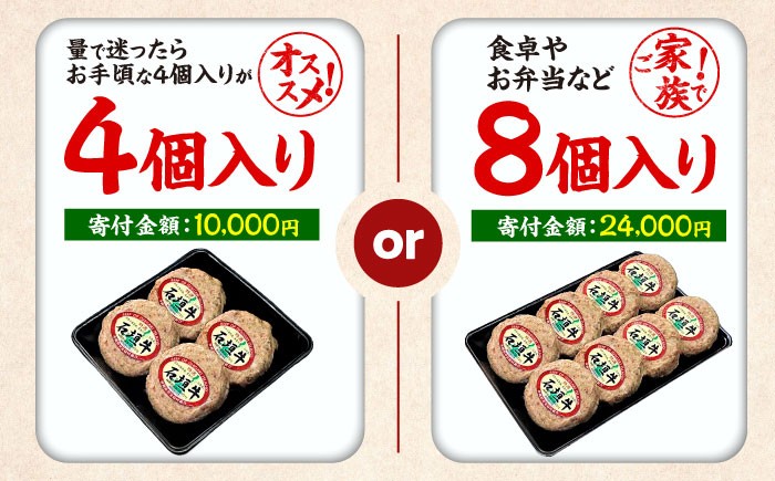 個包装 沖縄県産 石垣牛 ハンバーグ  はんばーぐ 国産 牛 ハンバーグ はんばーぐ 石垣牛ハンバーグ 冷凍 ギフト お取り寄せ