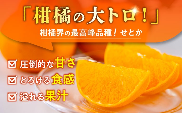 せとか みかん 約2.5kg 果物 化粧箱入り フルーツ ミカン 蜜柑 柑橘 かんきつ くだもの 旬 ギフト