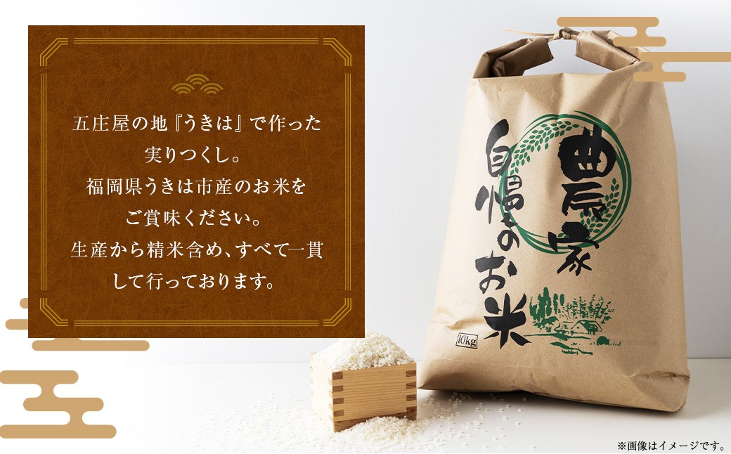 五庄屋の地で作った お米 実りつくし 白米 4.5kg