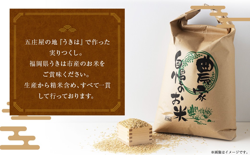 五庄屋の地で作った お米 実りつくし 玄米 5kg