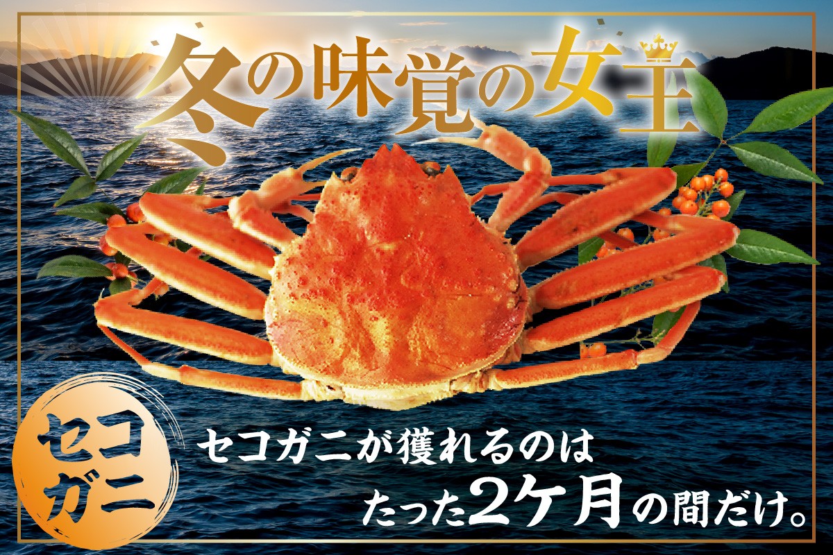 こちらは訳ありの返礼品です。
ご理解のうえ、お申込みください。