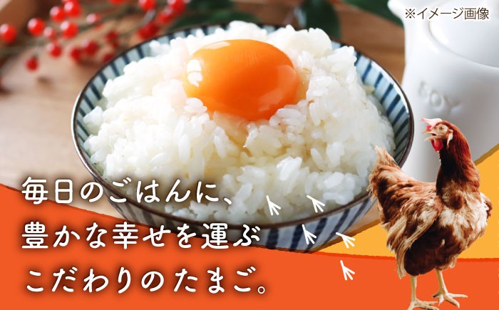 タマゴ 玉子 熊本県 特産品 送料無料 贈答用 贈答  鶏卵 玉子 たまごかけご飯 卵かけご飯 卵焼き 白卵 白たまご