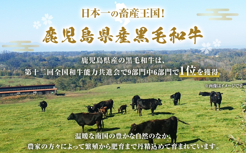 【鹿児島県産】黒毛和牛 赤身ももスライス 800g（400g×2パック）