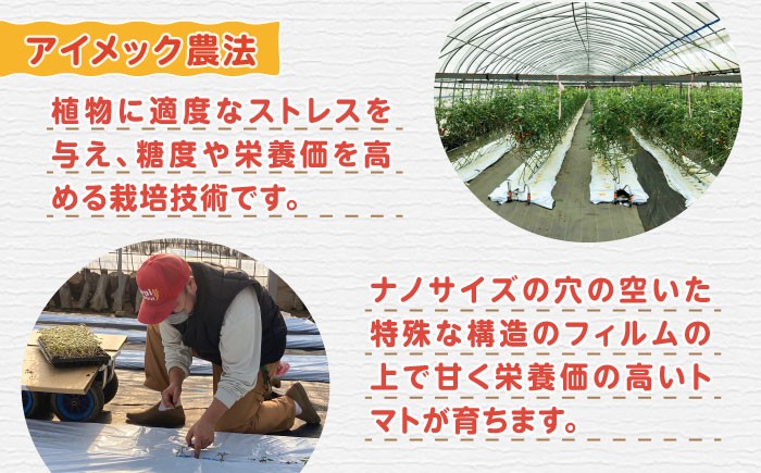 トマト とまと あまい 甘い 新鮮 野菜 おいしい 美味しい 絶品 生鮮