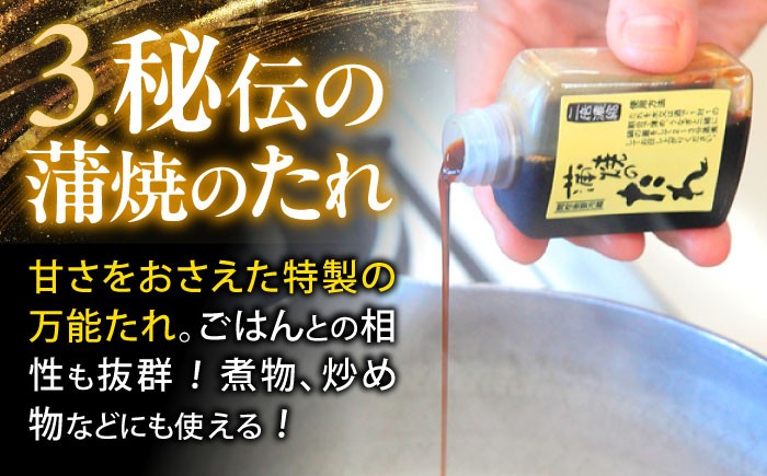 うなぎ 蒲焼 白焼き たれ 肝 詰合せ 詰め合わせ セット