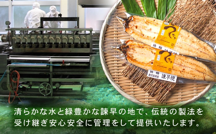 うなぎ ウナギ 鰻 蒲焼き 蒲焼 かばやき 白焼き 白焼 国産 冷凍 小分け うな重 うな丼 ひつまぶし