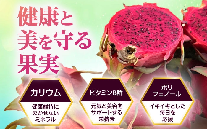 フルーツ ふるーつ 赤 果肉 レッド ピタヤ トロピカルフルーツ トロピカル くだもの 青果 果実 国産 産地直送 産直 沖縄市