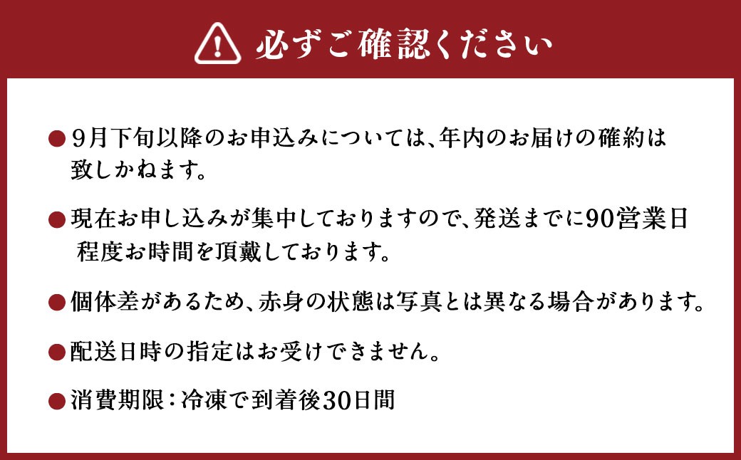 【 希少部位 】飛騨牛 A5 等級　ヒレ肉 ブロック 約500g