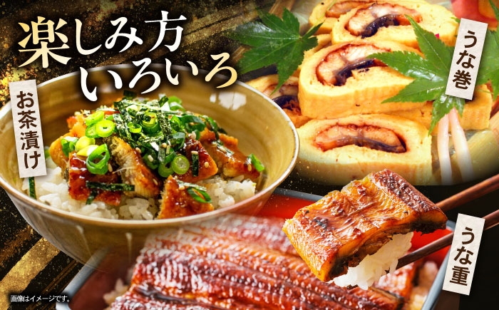 うなぎ ウナギ 鰻 蒲焼き 蒲焼 かばやき 白焼き 白焼 国産 冷凍 小分け うな重 うな丼 ひつまぶし