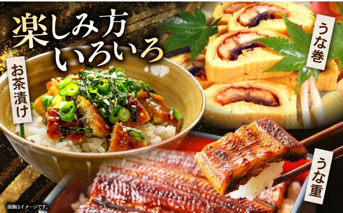 うなぎ 蒲焼 白焼き たれ 肝 詰合せ 詰め合わせ セット