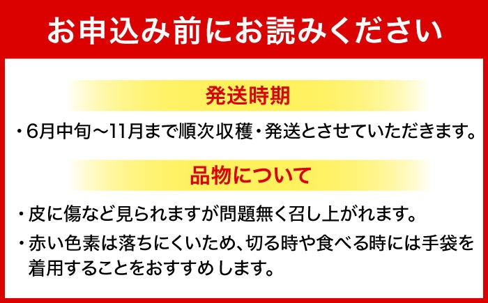 フルーツ ふるーつ 赤 果肉 レッド ピタヤ トロピカルフルーツ トロピカル くだもの 青果 果実 国産 産地直送 産直 沖縄市