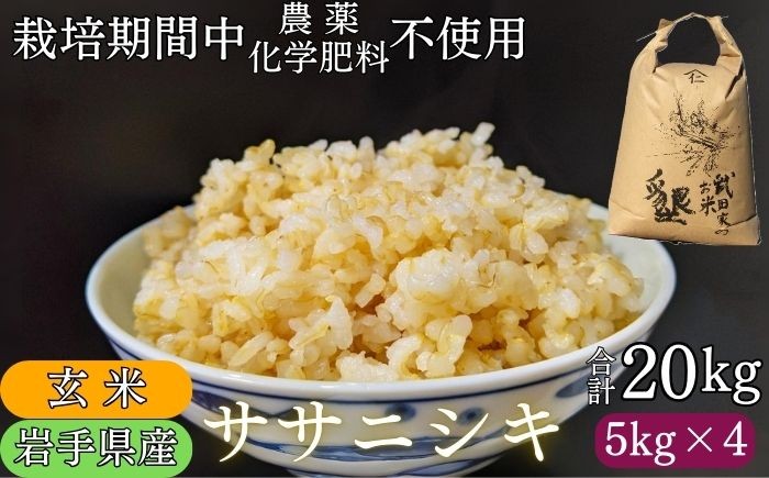 岩手県産のササニシキです！