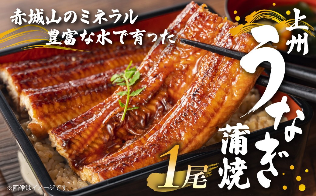 写真はイメージです。