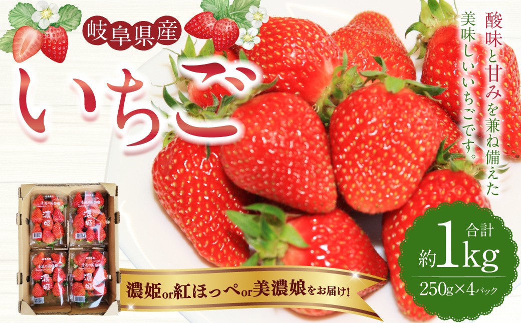 岐阜県産 いちご 「 濃姫 」または「 紅ほっぺ 」または「 美濃娘 」 1ケース （約 250g × 4パック入）