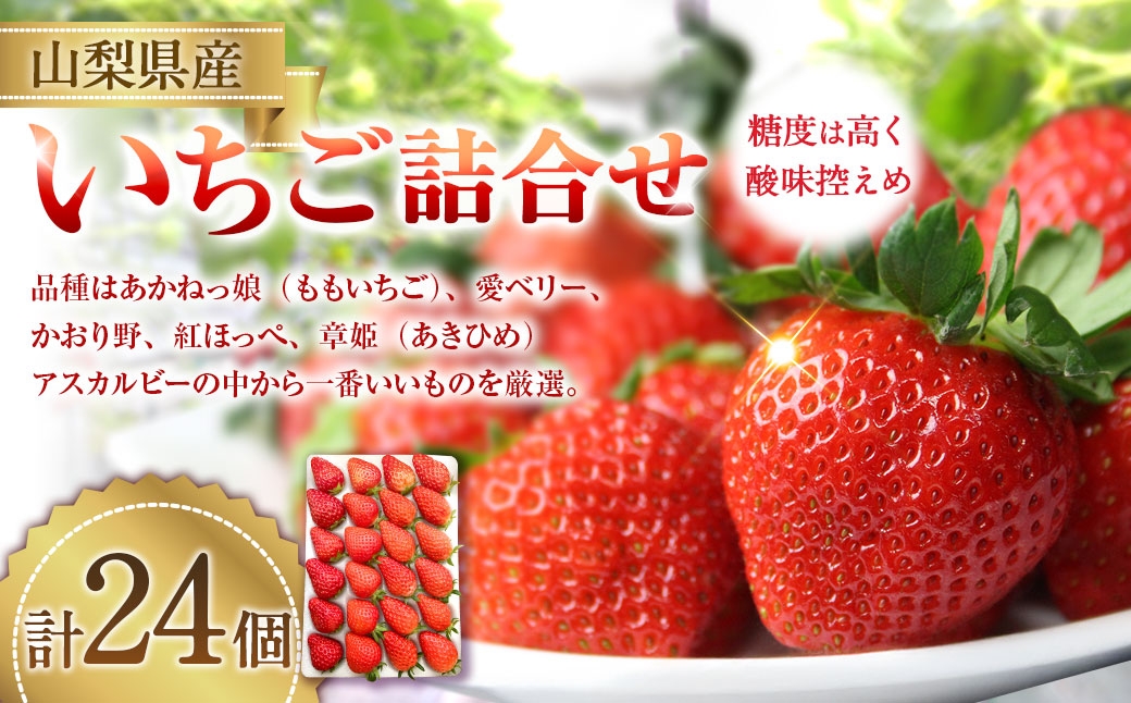 いちご詰合せ 24個入り 【2026年1月下旬～3月下旬発送予定】