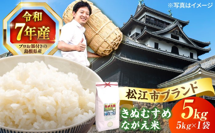米 お米 白米 精米 はくまい こめ ご飯 ごはん 美味しい 国産 お取り寄せ 産地直送 おすすめ 人気
