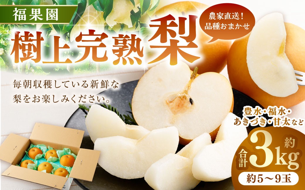 福果園の樹上完熟梨 農家直送品種おまかせ（3kg程度）